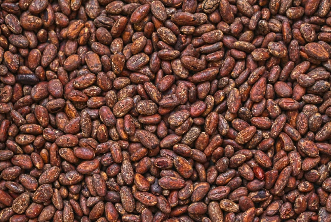 Cocoa/SheaNut Trade 2027 Q1