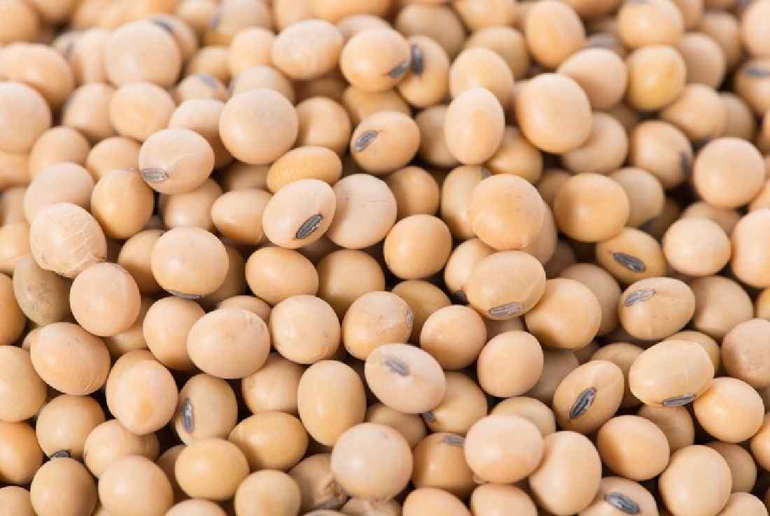 Soybean Trade 2027 Q1
